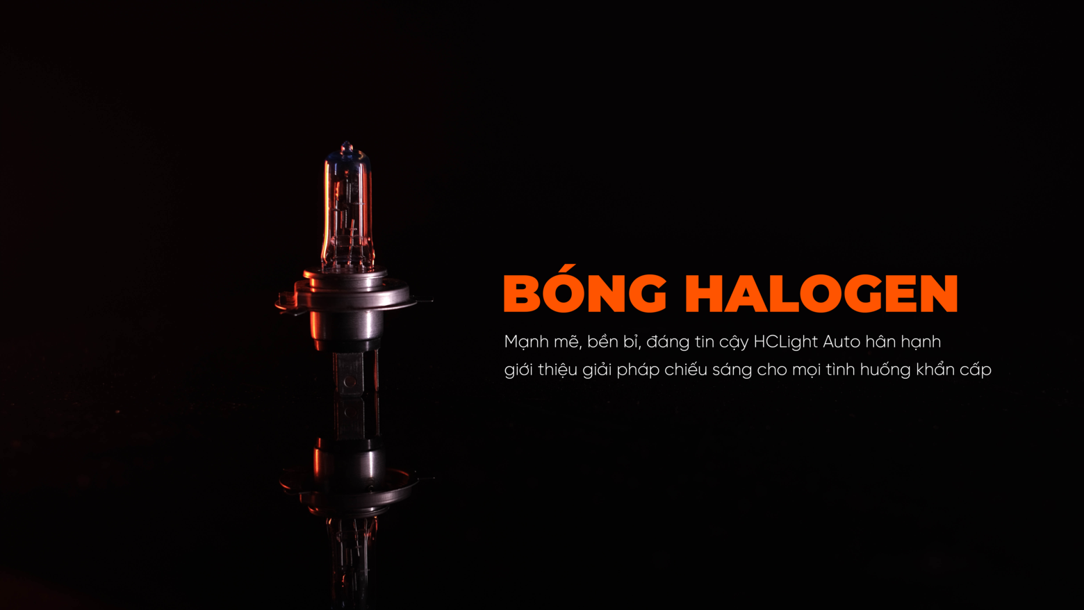 Bóng Halogen